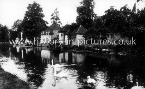 Summer House and River Lea, Ware, Herts. c.1960's